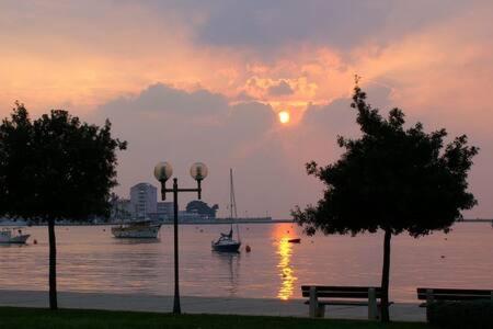 Murin Delfin Apartment Umag Bagian luar foto